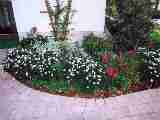 klick mich - Blumen