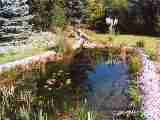 klick mich - Teich
