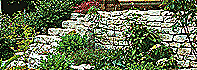 Steine im Garten